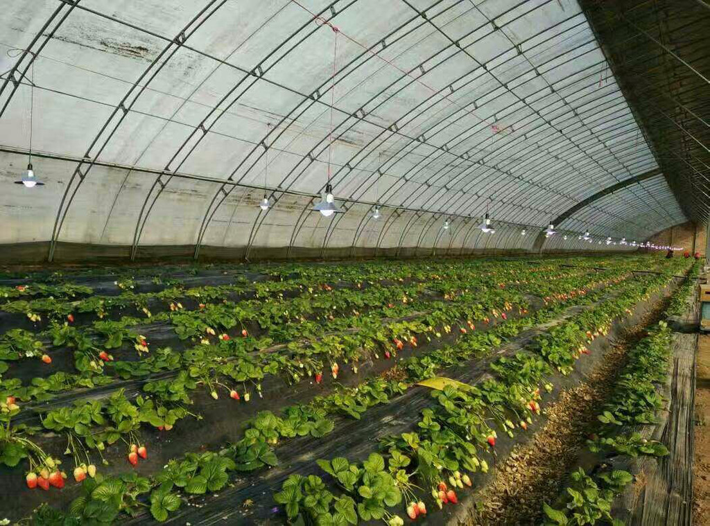 1625118112264151.jpeg 1625118112264151.jpeg